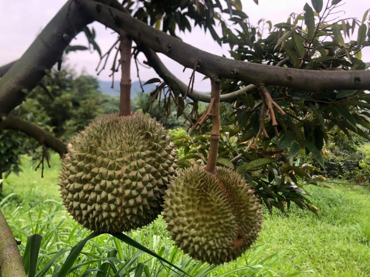Durian Ecolodge Tampin Exterior foto